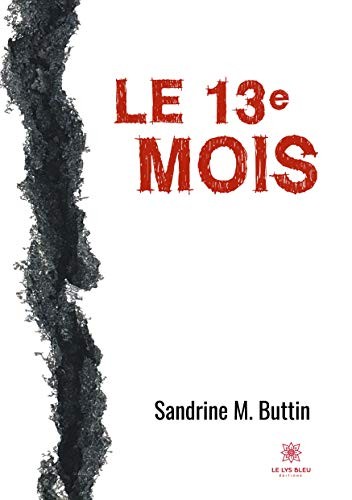 Le 13e mois: Climato-fiction