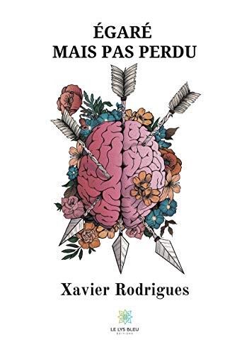 Égaré mais pas perdu: Autobiographie